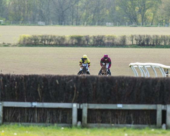 Race 5 - Restricted Race-32