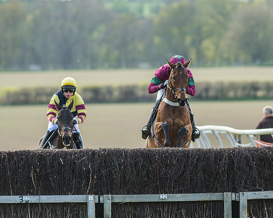 Race 5 - Restricted Race-33
