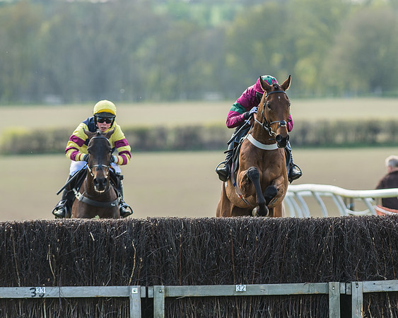 Race 5 - Restricted Race-34
