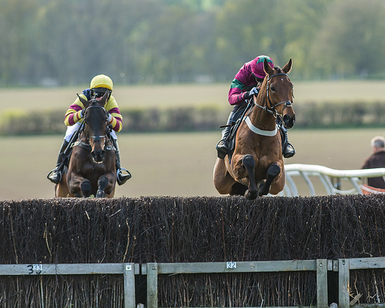 Race 5 - Restricted Race-35