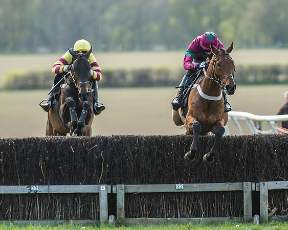 Race 5 - Restricted Race-36