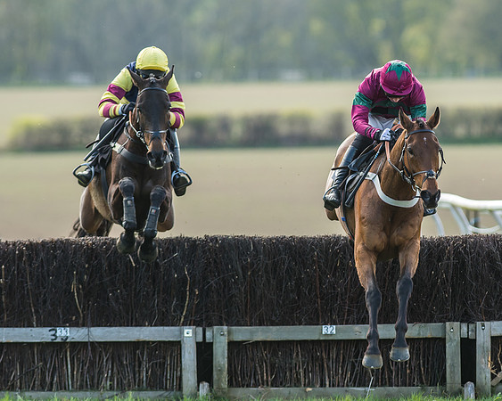 Race 5 - Restricted Race-37