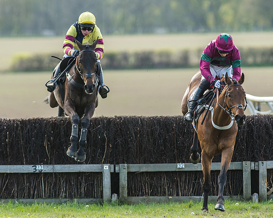 Race 5 - Restricted Race-38