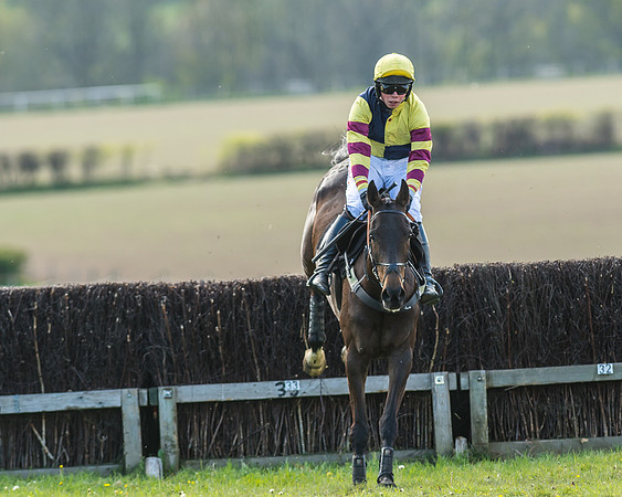 Race 5 - Restricted Race-39