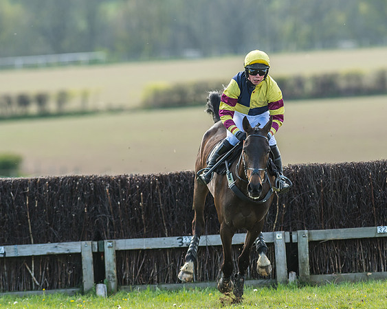 Race 5 - Restricted Race-40