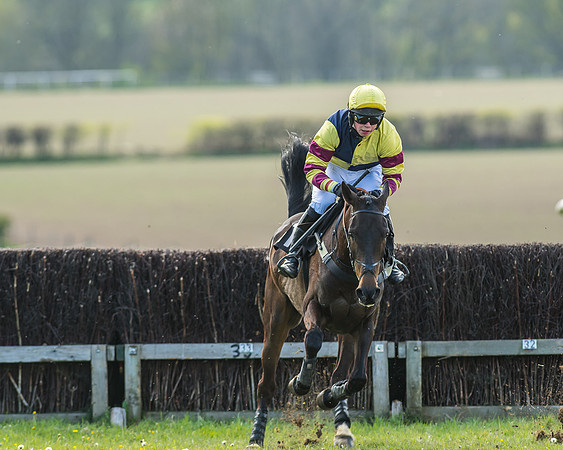 Race 5 - Restricted Race-41