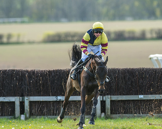 Race 5 - Restricted Race-42