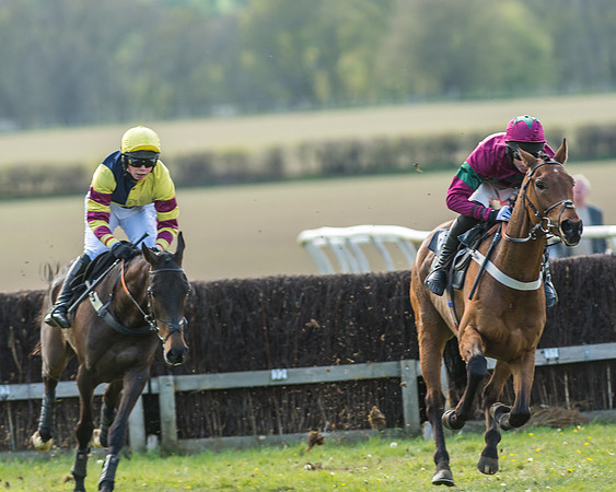 Race 5 - Restricted Race-43