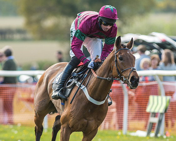 Race 5 - Restricted Race-45
