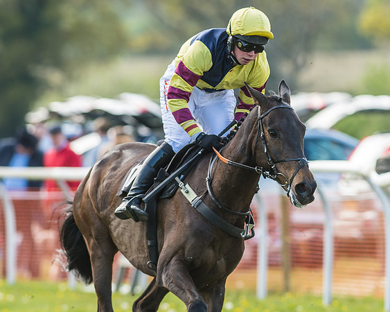 Race 5 - Restricted Race-47