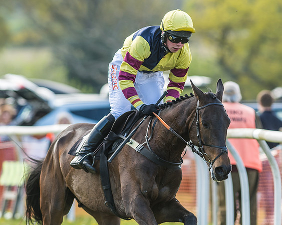 Race 5 - Restricted Race-48