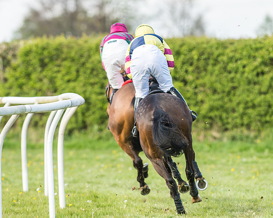 Race 5 - Restricted Race-52