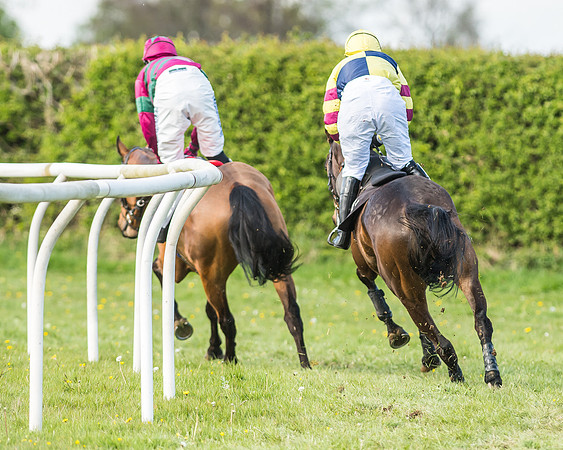 Race 5 - Restricted Race-53