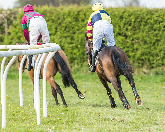 Race 5 - Restricted Race-54
