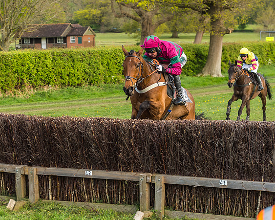 Race 5 - Restricted Race-55