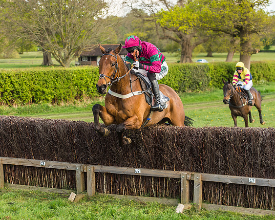 Race 5 - Restricted Race-57