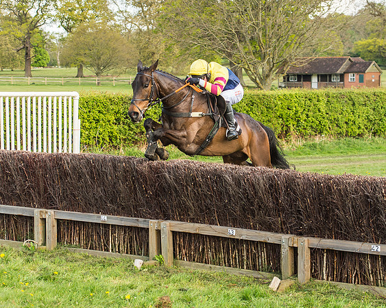 Race 5 - Restricted Race-61