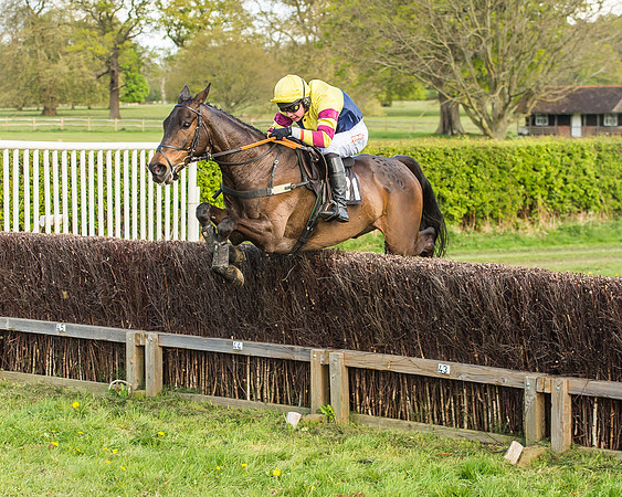 Race 5 - Restricted Race-62