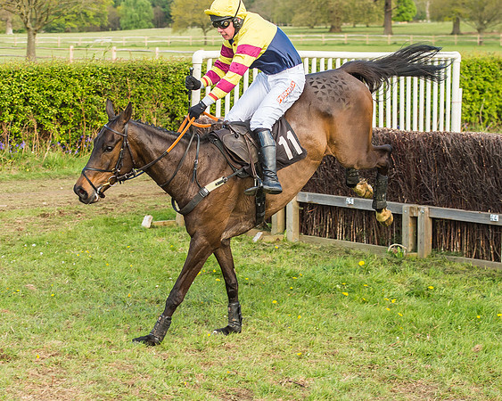 Race 5 - Restricted Race-65