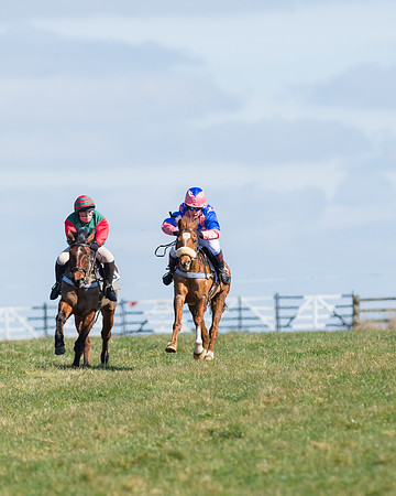 Oakley Ponies (35 of 96).jpg