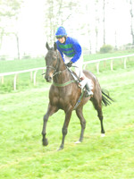 Old Berks at Lockinge PPORA novice and veteran riders race