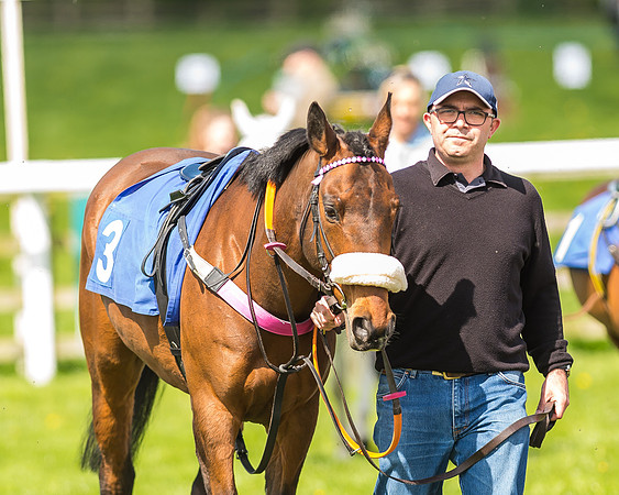 Pony Race 1 - 148cm [Open] Novice Riders-1