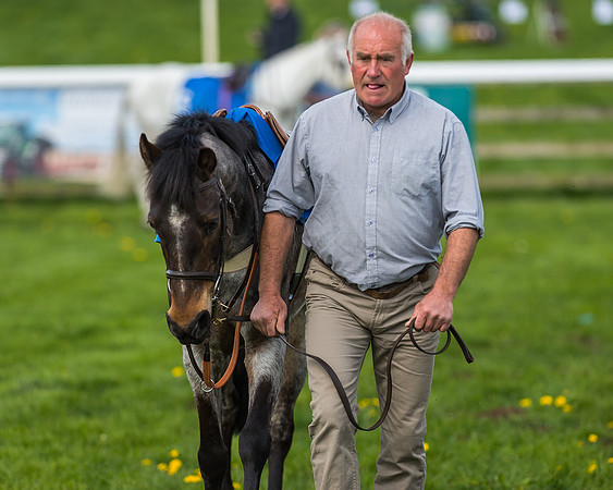 Pony Race 1 - 148cm [Open] Novice Riders-8