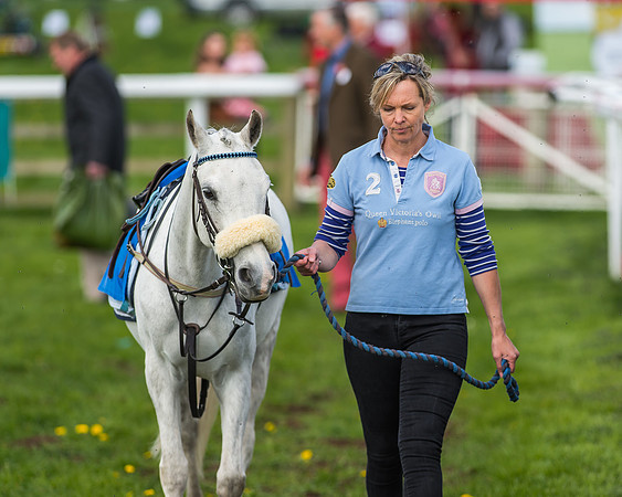 Pony Race 1 - 148cm [Open] Novice Riders-10