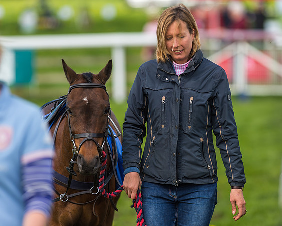 Pony Race 1 - 148cm [Open] Novice Riders-12