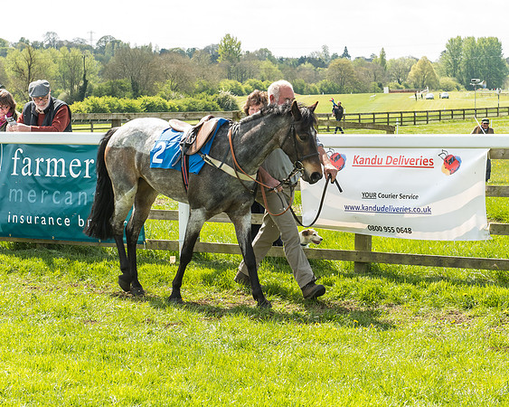 Pony Race 1 - 148cm [Open] Novice Riders-15