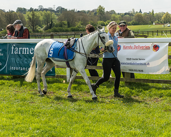 Pony Race 1 - 148cm [Open] Novice Riders-16
