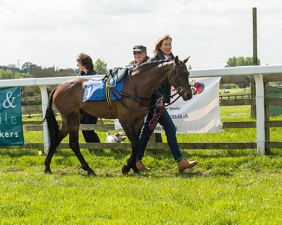 Pony Race 1 - 148cm [Open] Novice Riders-18
