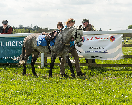 Pony Race 1 - 148cm [Open] Novice Riders-19