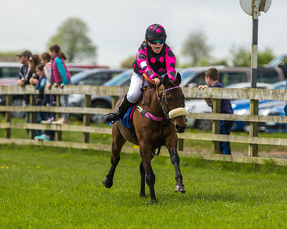 Pony Race 1 - 148cm [Open] Novice Riders-35