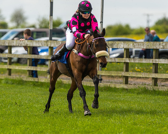 Pony Race 1 - 148cm [Open] Novice Riders-38