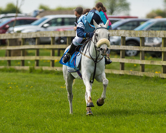 Pony Race 1 - 148cm [Open] Novice Riders-40