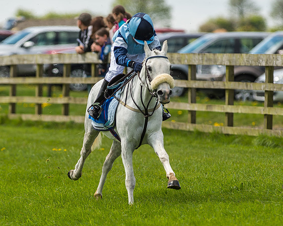 Pony Race 1 - 148cm [Open] Novice Riders-41