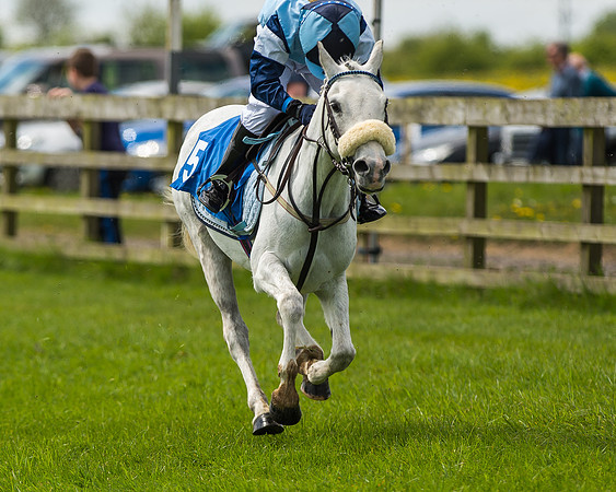 Pony Race 1 - 148cm [Open] Novice Riders-43