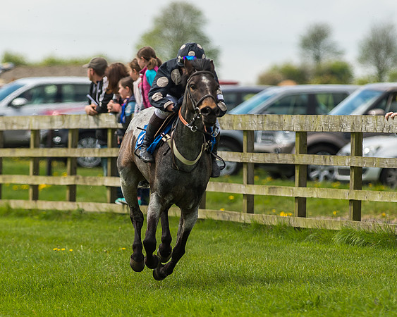 Pony Race 1 - 148cm [Open] Novice Riders-44