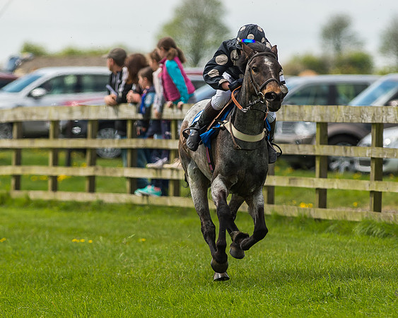 Pony Race 1 - 148cm [Open] Novice Riders-45