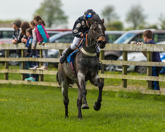 Pony Race 1 - 148cm [Open] Novice Riders-46