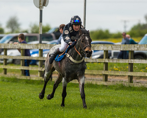 Pony Race 1 - 148cm [Open] Novice Riders-47