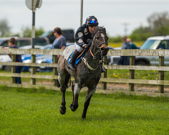 Pony Race 1 - 148cm [Open] Novice Riders-48
