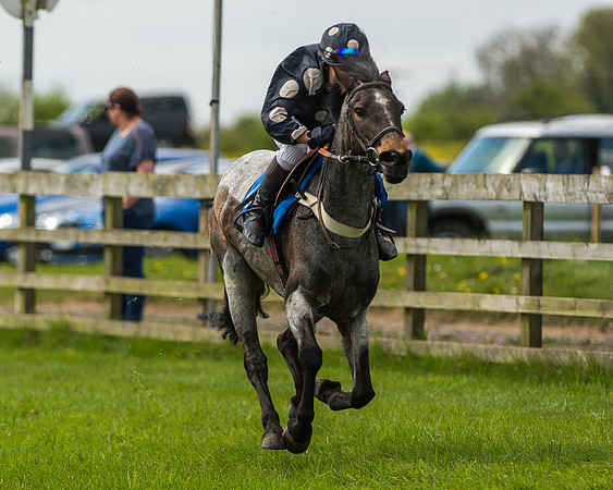 Pony Race 1 - 148cm [Open] Novice Riders-49