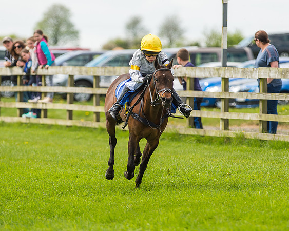 Pony Race 1 - 148cm [Open] Novice Riders-51