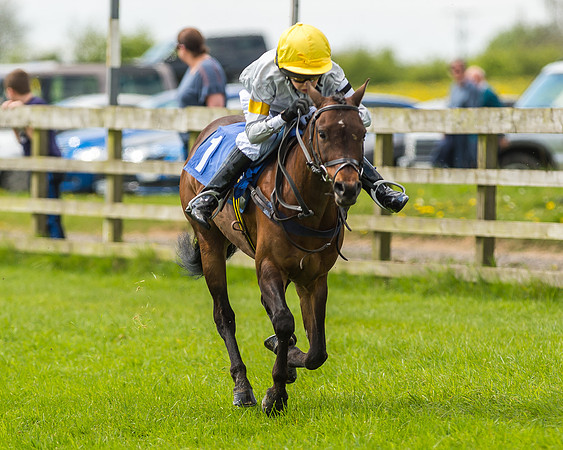 Pony Race 1 - 148cm [Open] Novice Riders-54