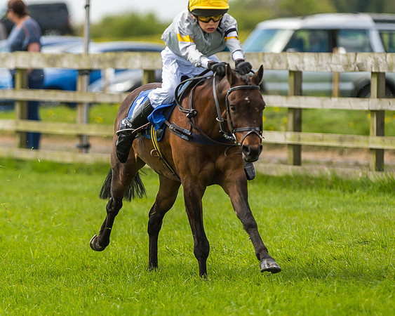 Pony Race 1 - 148cm [Open] Novice Riders-56