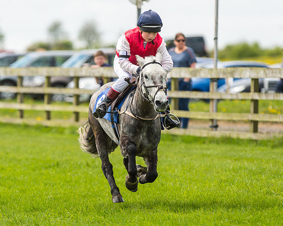 Pony Race 1 - 148cm [Open] Novice Riders-57
