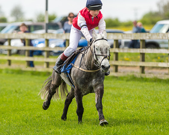 Pony Race 1 - 148cm [Open] Novice Riders-59