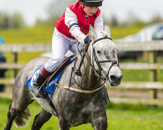 Pony Race 1 - 148cm [Open] Novice Riders-61